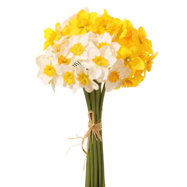 12&quot; Daffodil Bundle