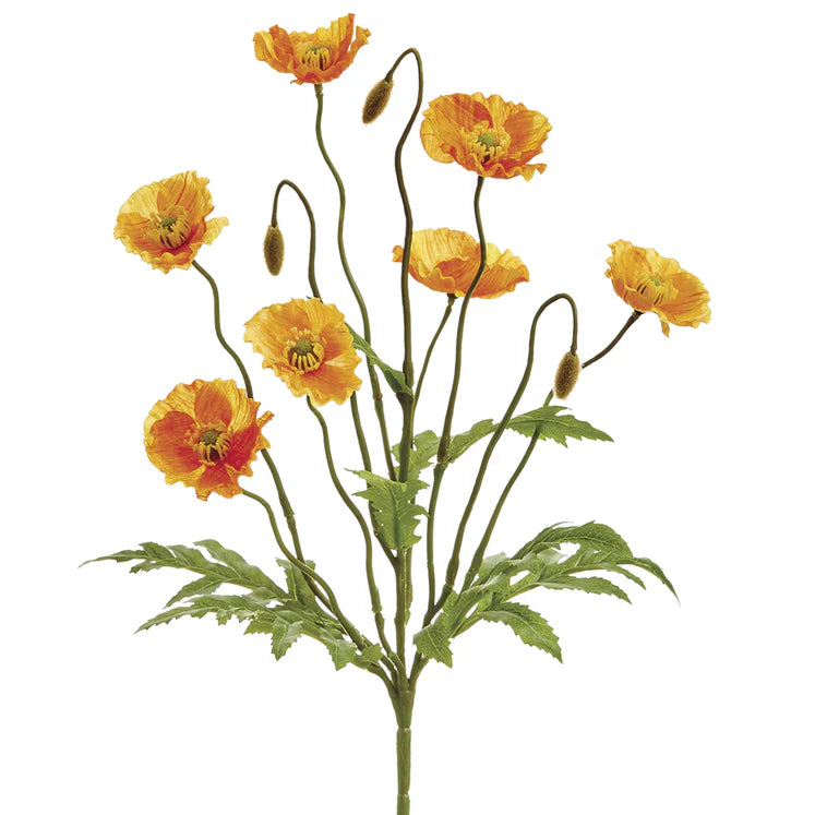 15&quot; Poppy Plant