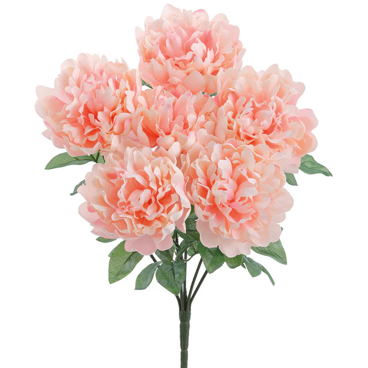 19&quot; Peony Plant