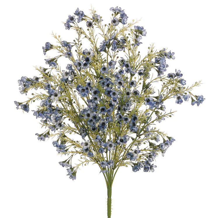 19&quot; Waxflower Plant