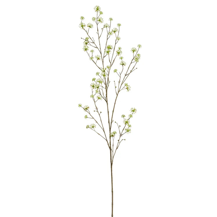 55&quot; Cornus Branch (Copy)