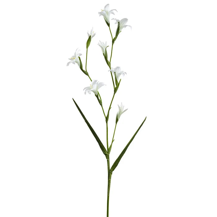 46" Gladiolus Stem