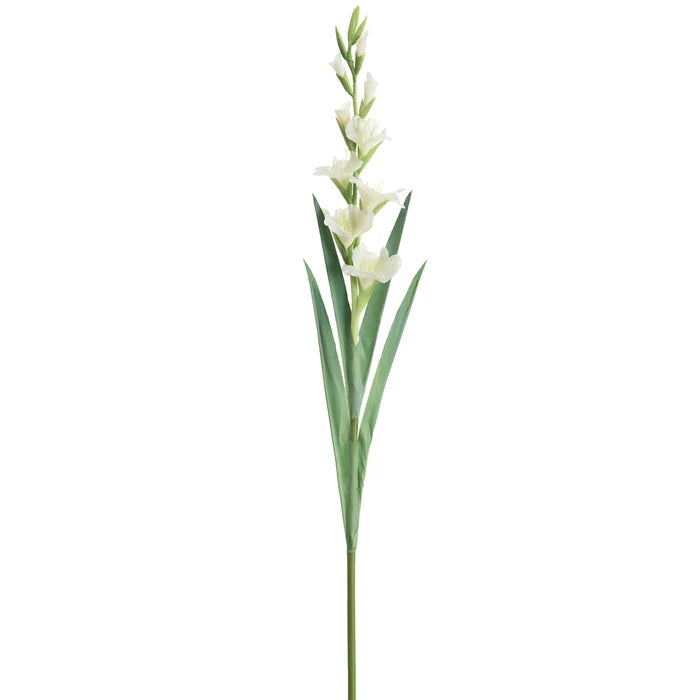 41" Gladiolus Stem