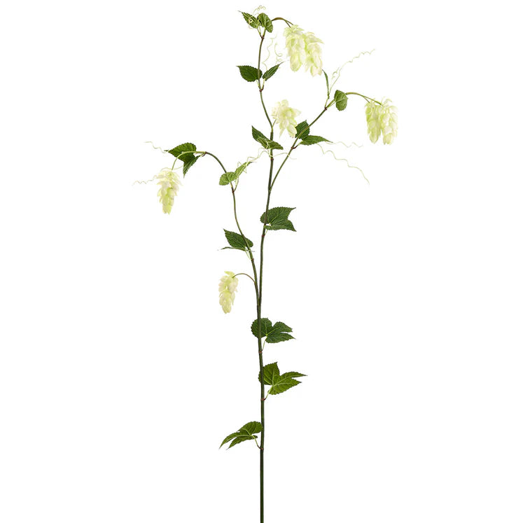 68&quot; Hops Branch