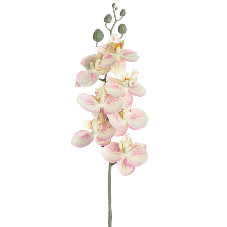 25&quot; Phalaenopsis Orchid Stem