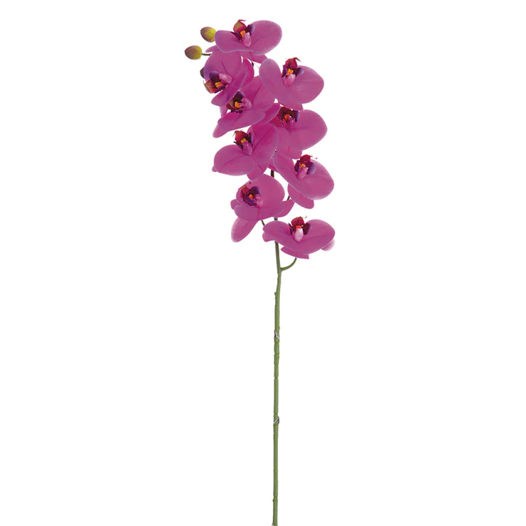 31.5&quot; Phalaenopsis Orchid Stem Orchid