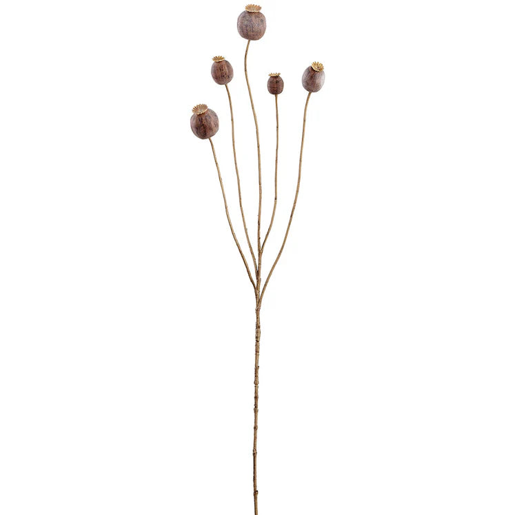 30&quot; Poppy Seed Stem