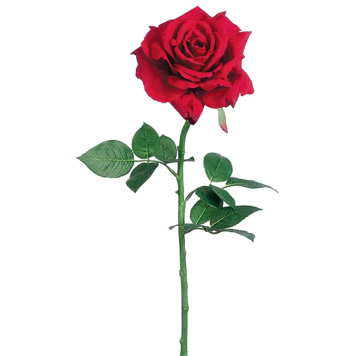 26" Diana Rose Stem