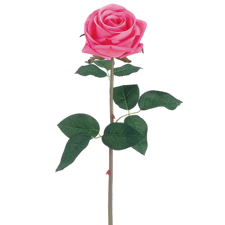 20&quot; Garden Rose Stem