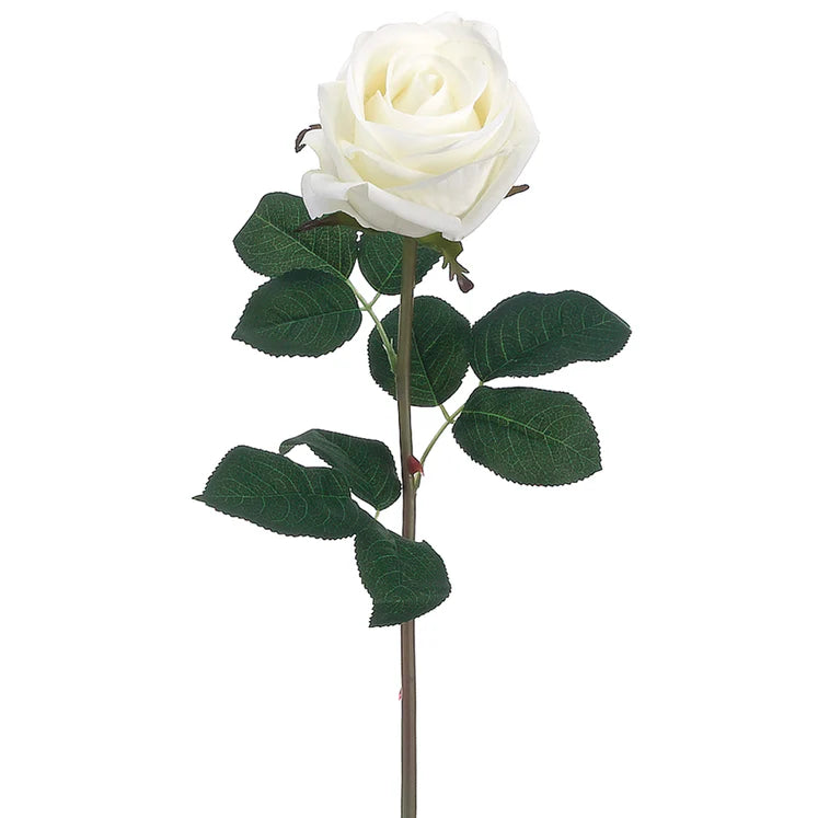 20&quot; Garden Rose Stem