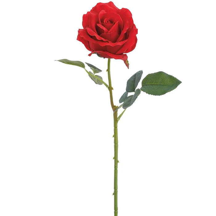 24" Rose Stem