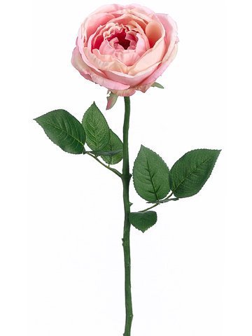 23&quot; Garden Cabbage Rose Stem - Pink
