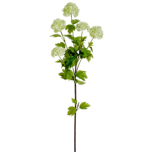 38" Snowball Viburnum Branch