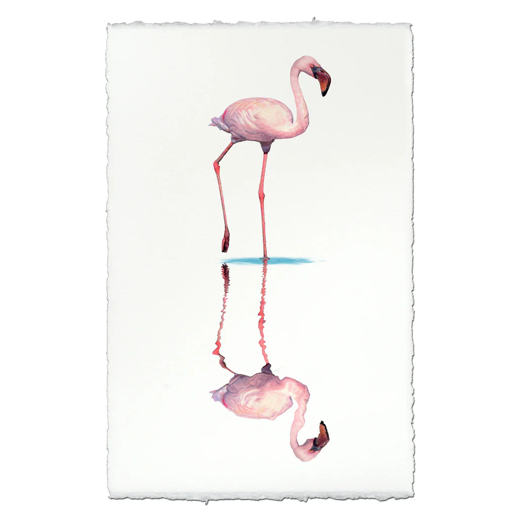 Flamingo1