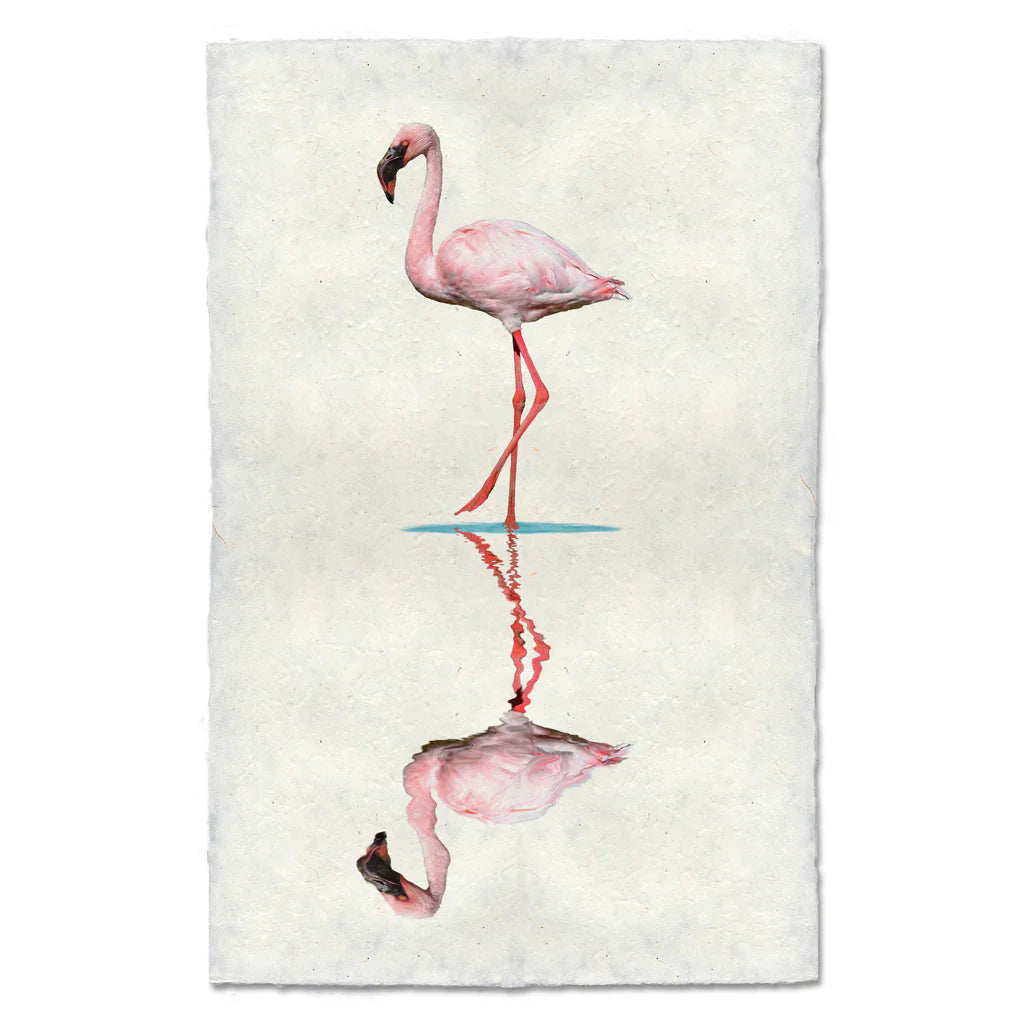 Flamingo2