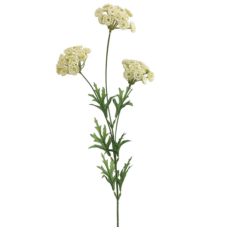 26&quot; Queen Anne&#39;s Lace Stem