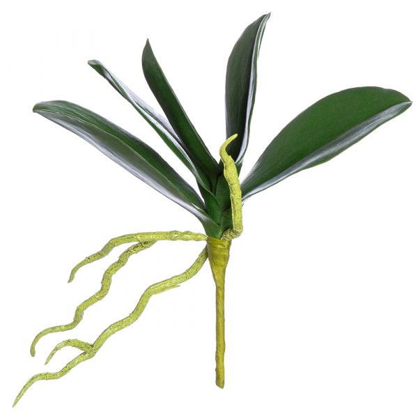 9&quot; Phalaenopsis Leaf