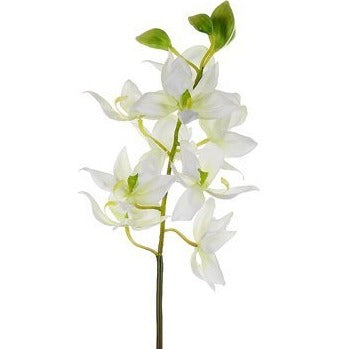 24&quot; Swan Orchid Stem White