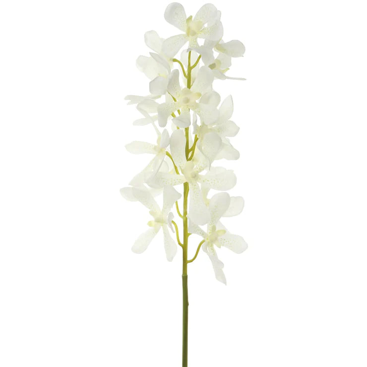 30&quot; Vanda Orchid Stem - White