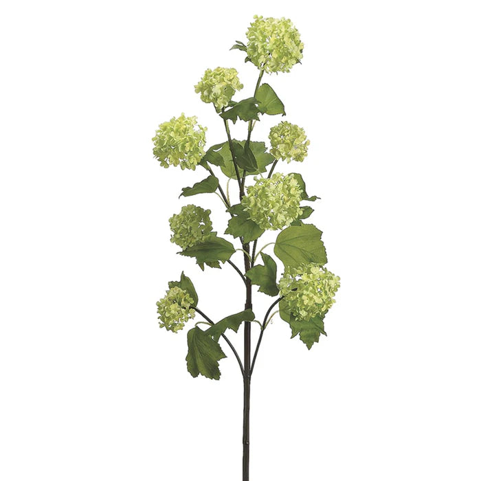 30" Viburnum Stem