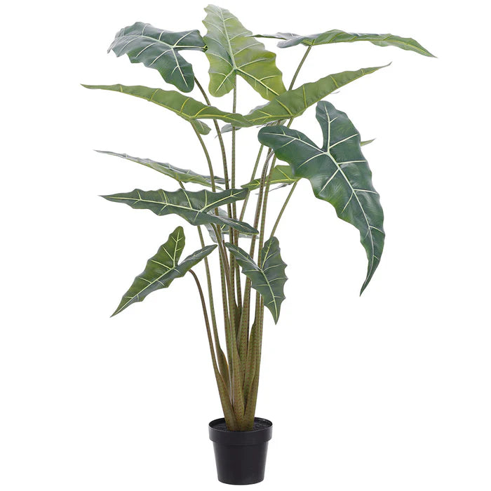 63" Alocasia Leaf Plant