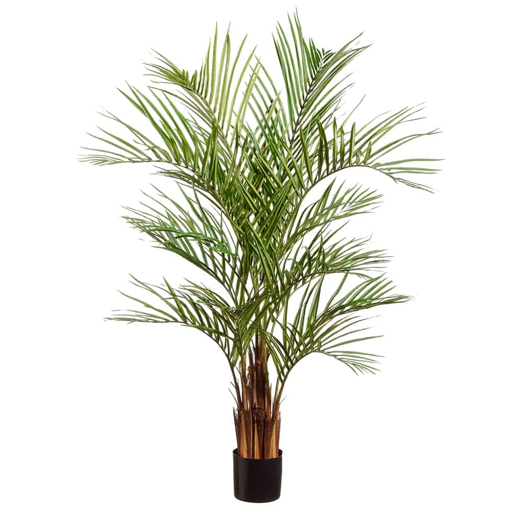 55&quot; Areca Palm Tree