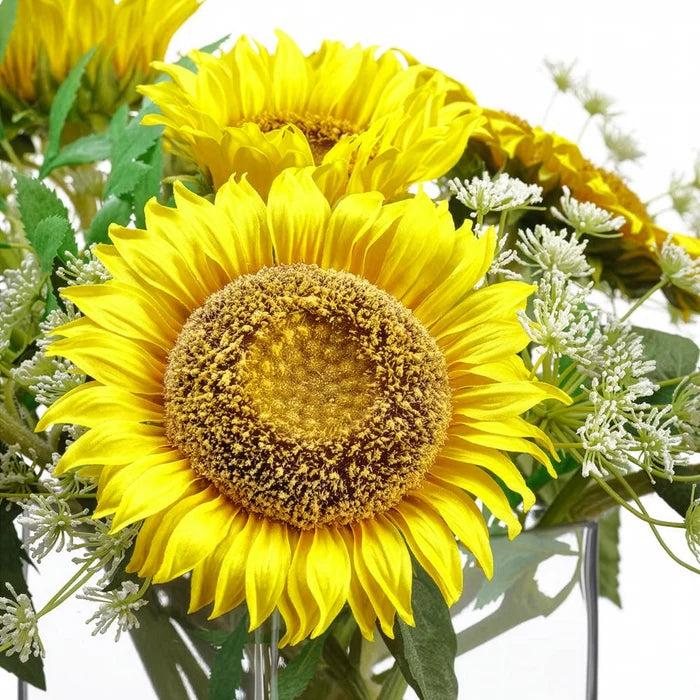 15" Sunflower & Queen Anne's Lace Arrangement