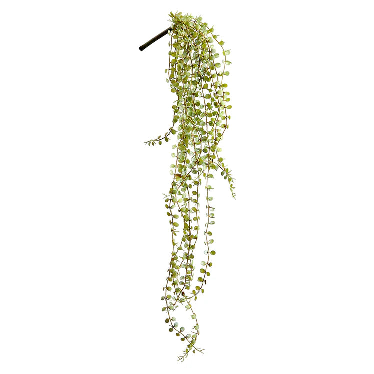 28&quot; Button Leaf Hanging Plant