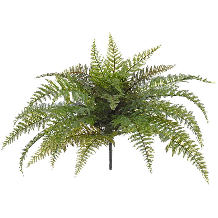 18" Fern Plant