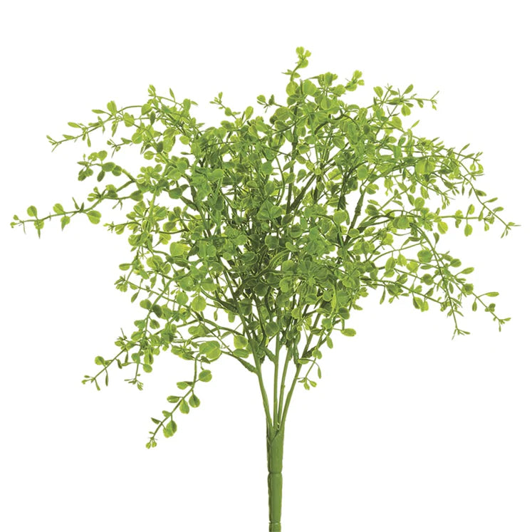 13&quot; Button Leaf Plant