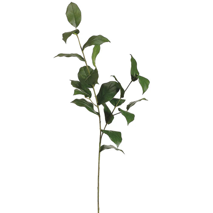 36" Lemon Leaf Stem