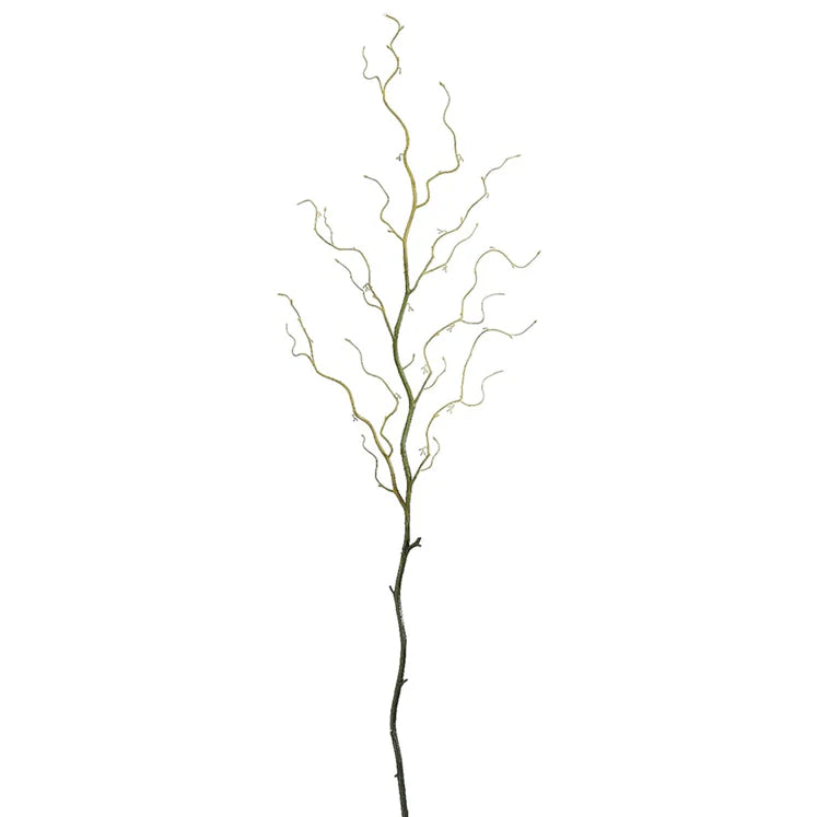 54&quot; Curly Willow Branch