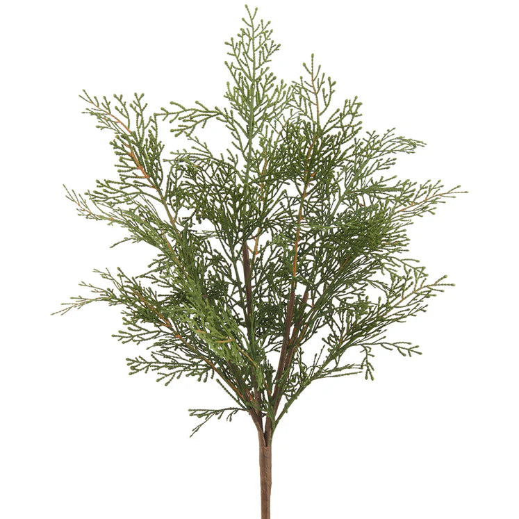 20&quot; Cedar Plant