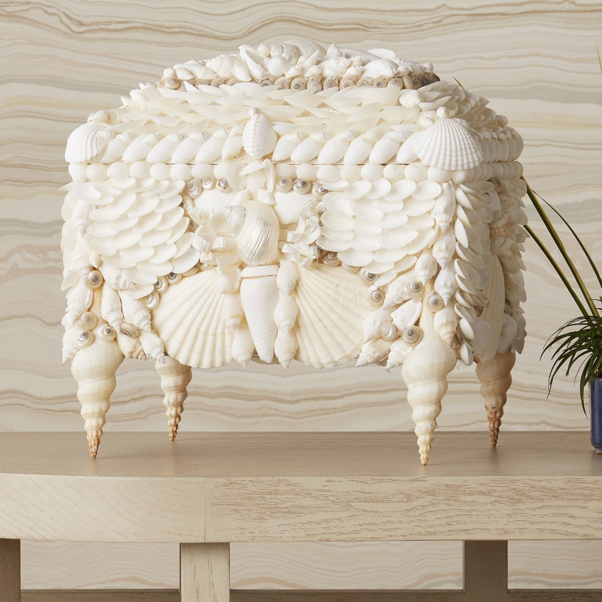 Boardwalk Shell Jewelry Box