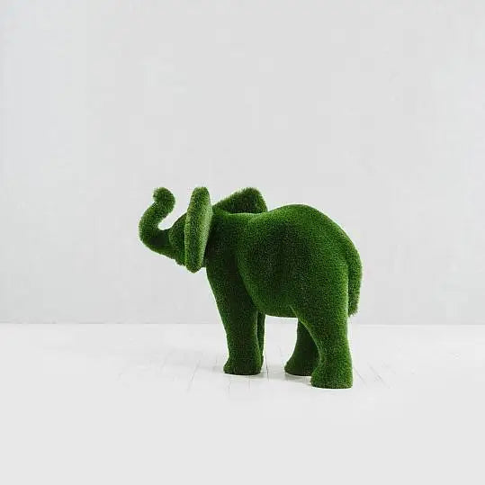 Baby Elephant