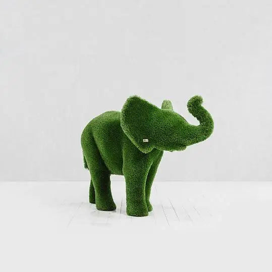 Baby Elephant