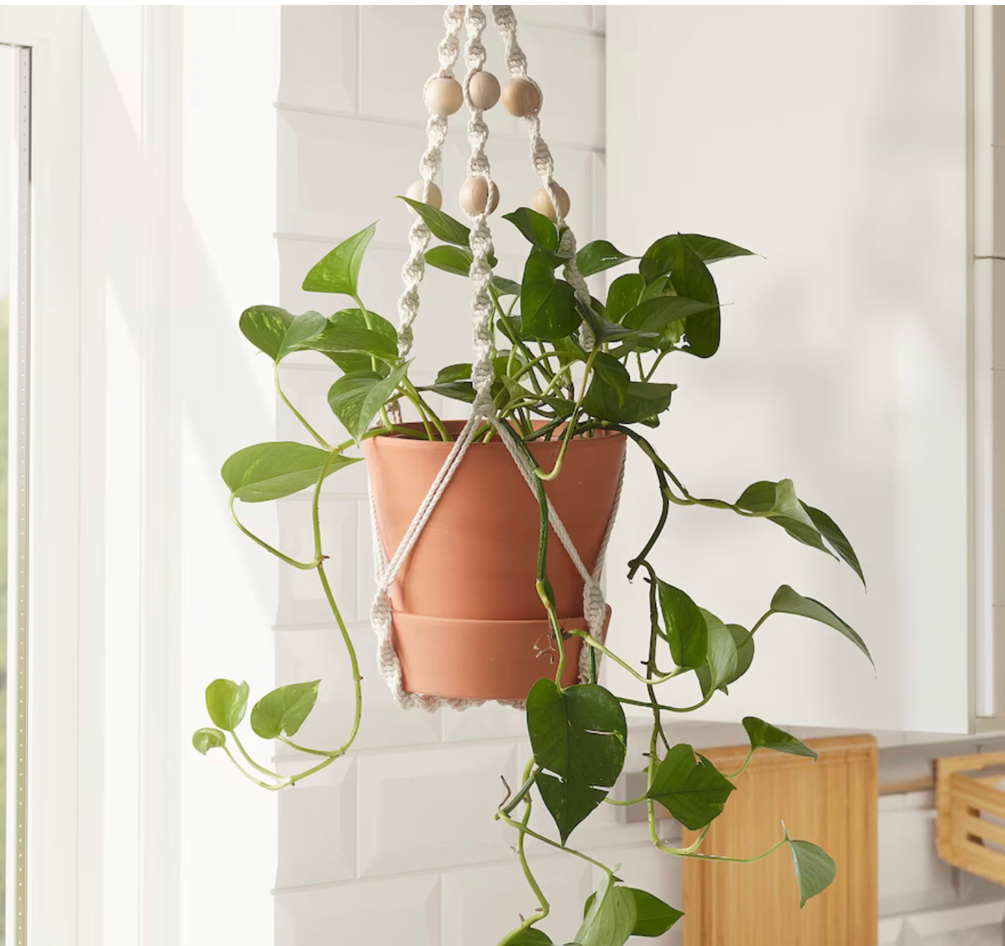 ikea hanging plant holder Anvandbar Hanging Plant Holder