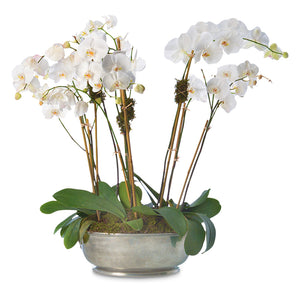 Beaded Footed Oval Basin