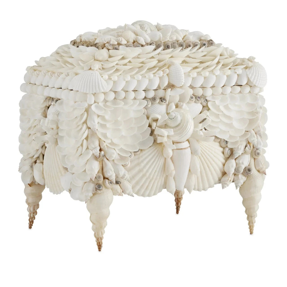 Boardwalk Shell Jewelry Box