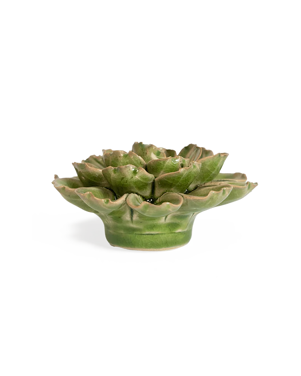 Avocado Green Petunia