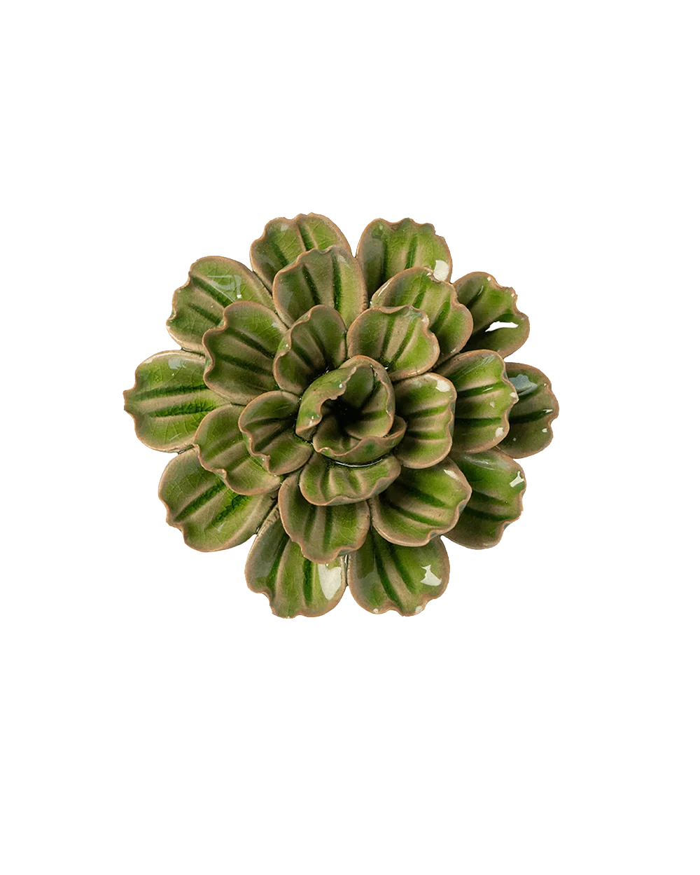Avocado Green Petunia