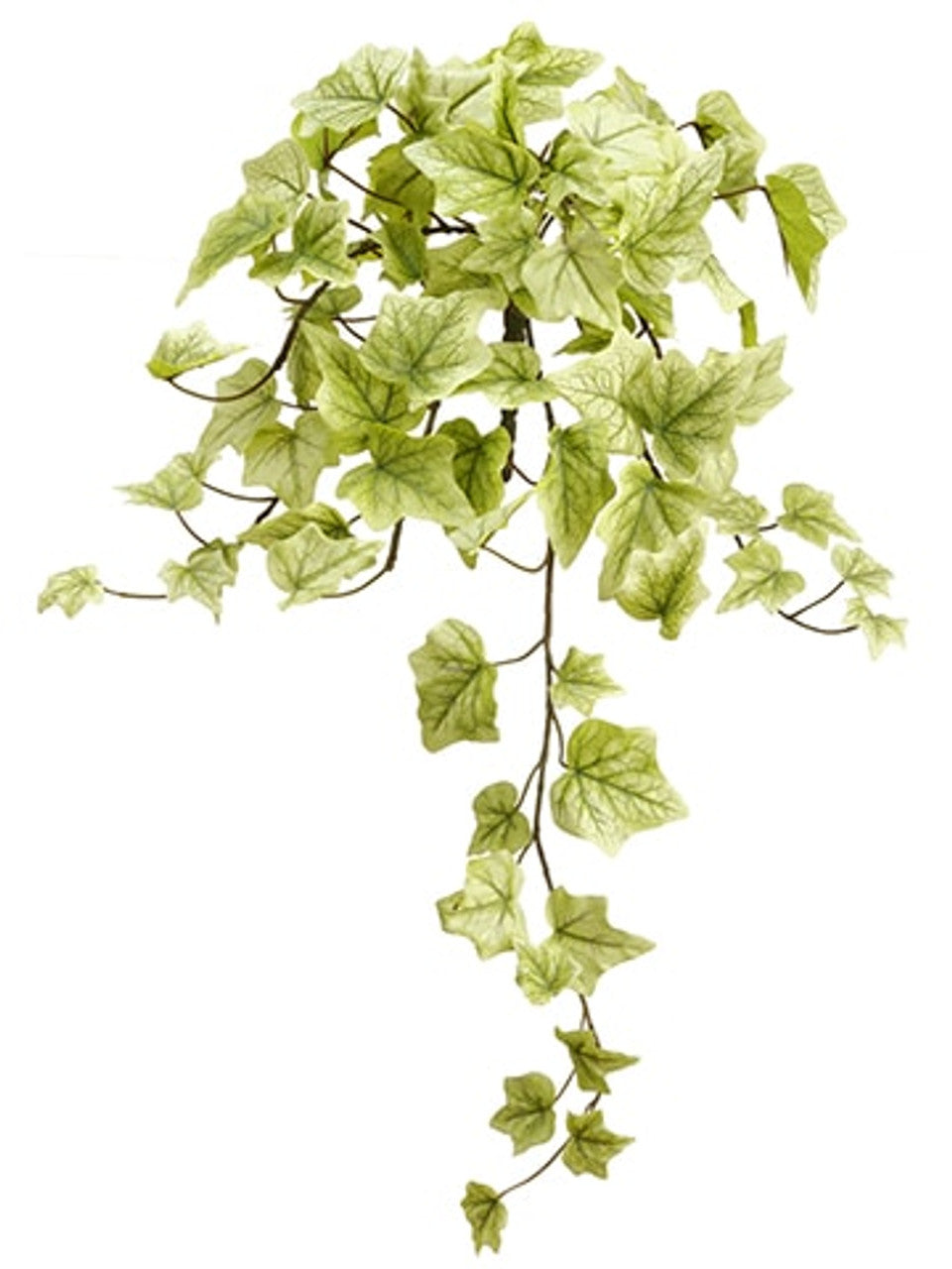 22&quot; One-Piece Ivy Plant Pale Green