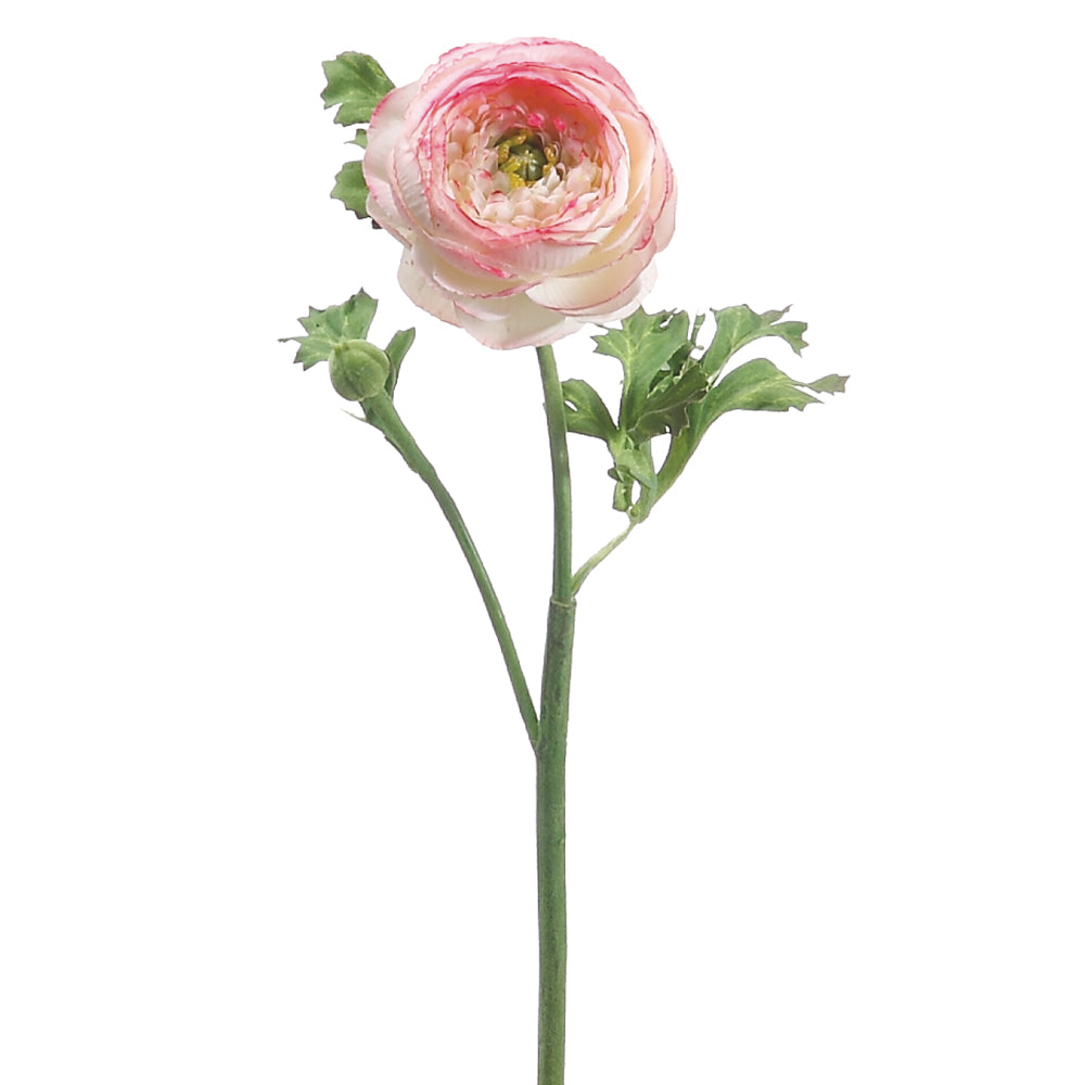 Ranunculus Stem Pink