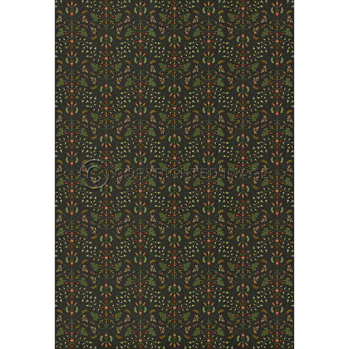 Franklin Afterwit 120x120