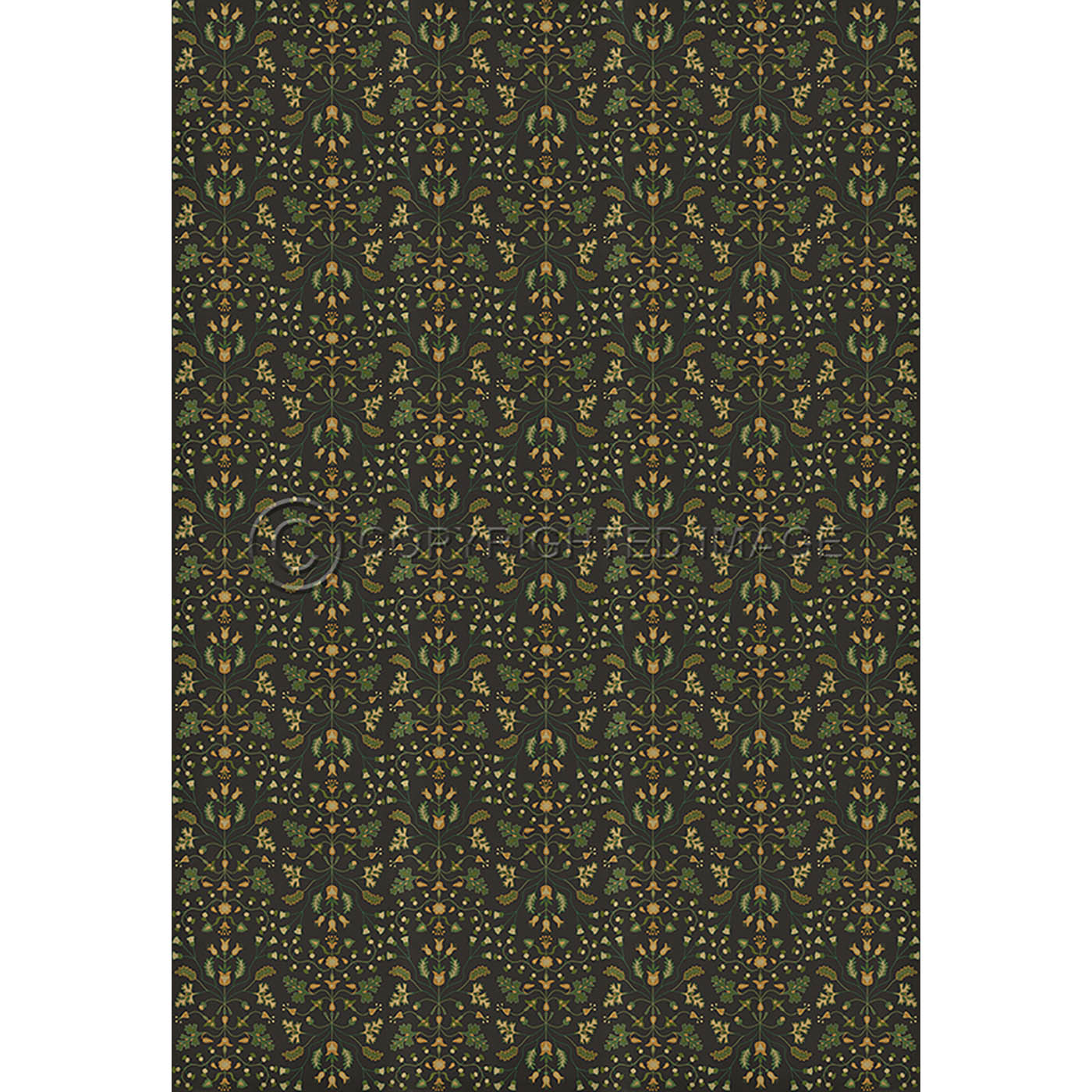 Franklin Benevolus 120x120