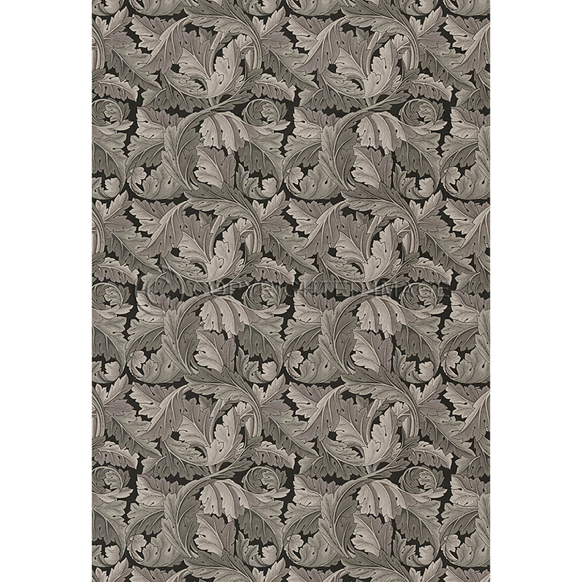 Acanthus Charcoal 52x76