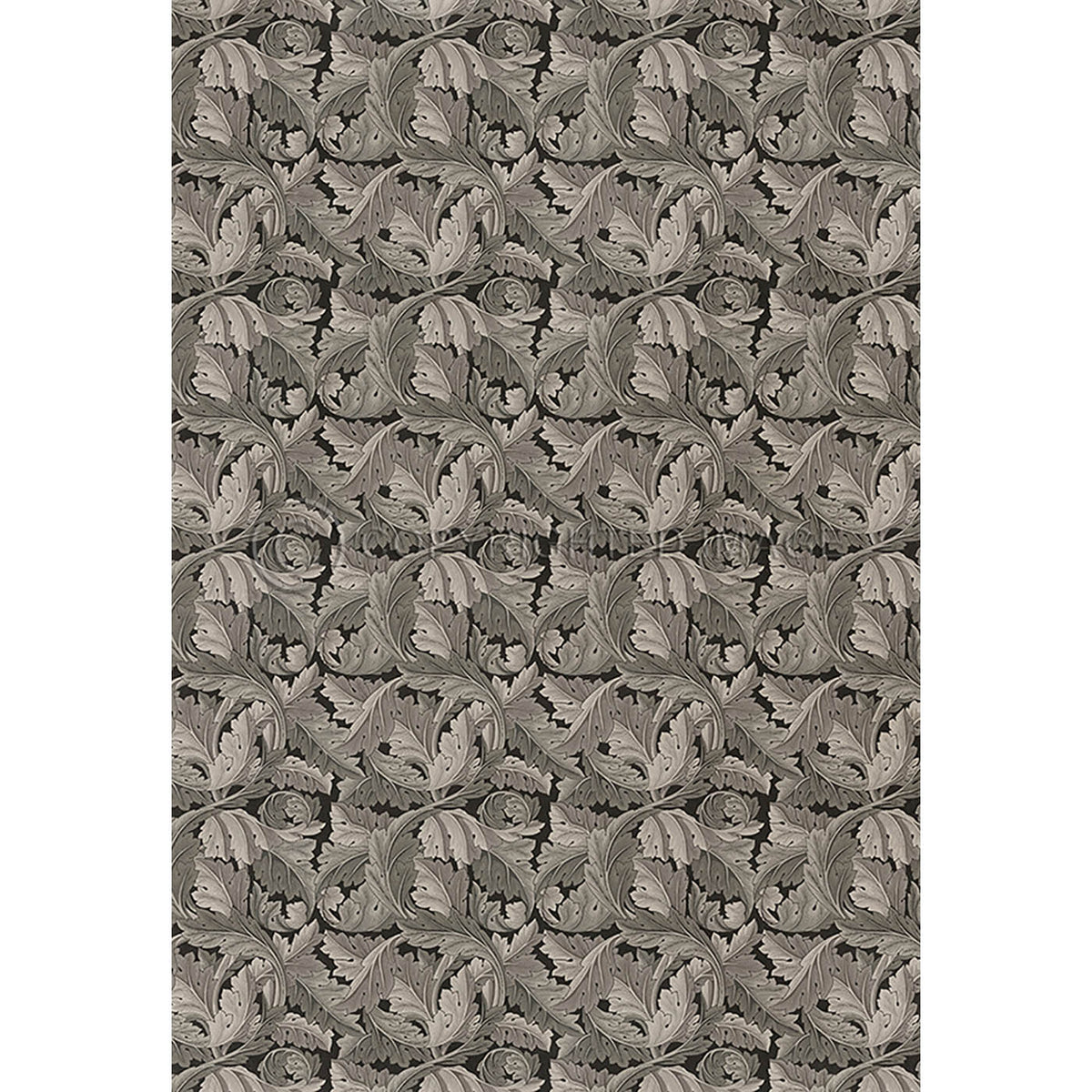 Acanthus Charcoal 70x102