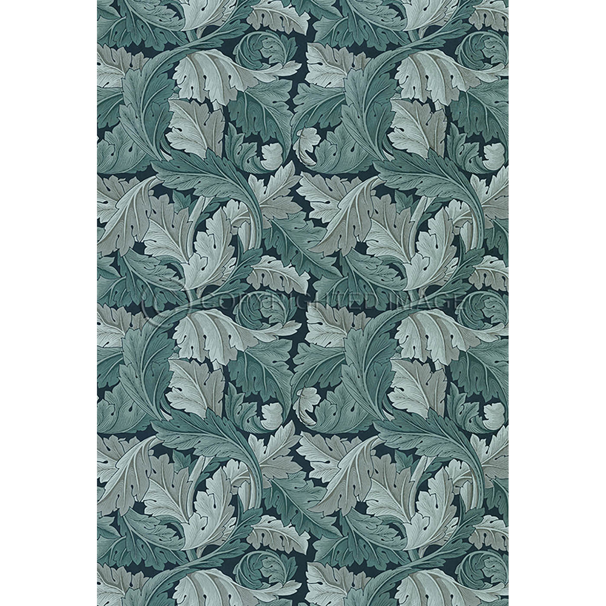 Acanthus Ink 38x56