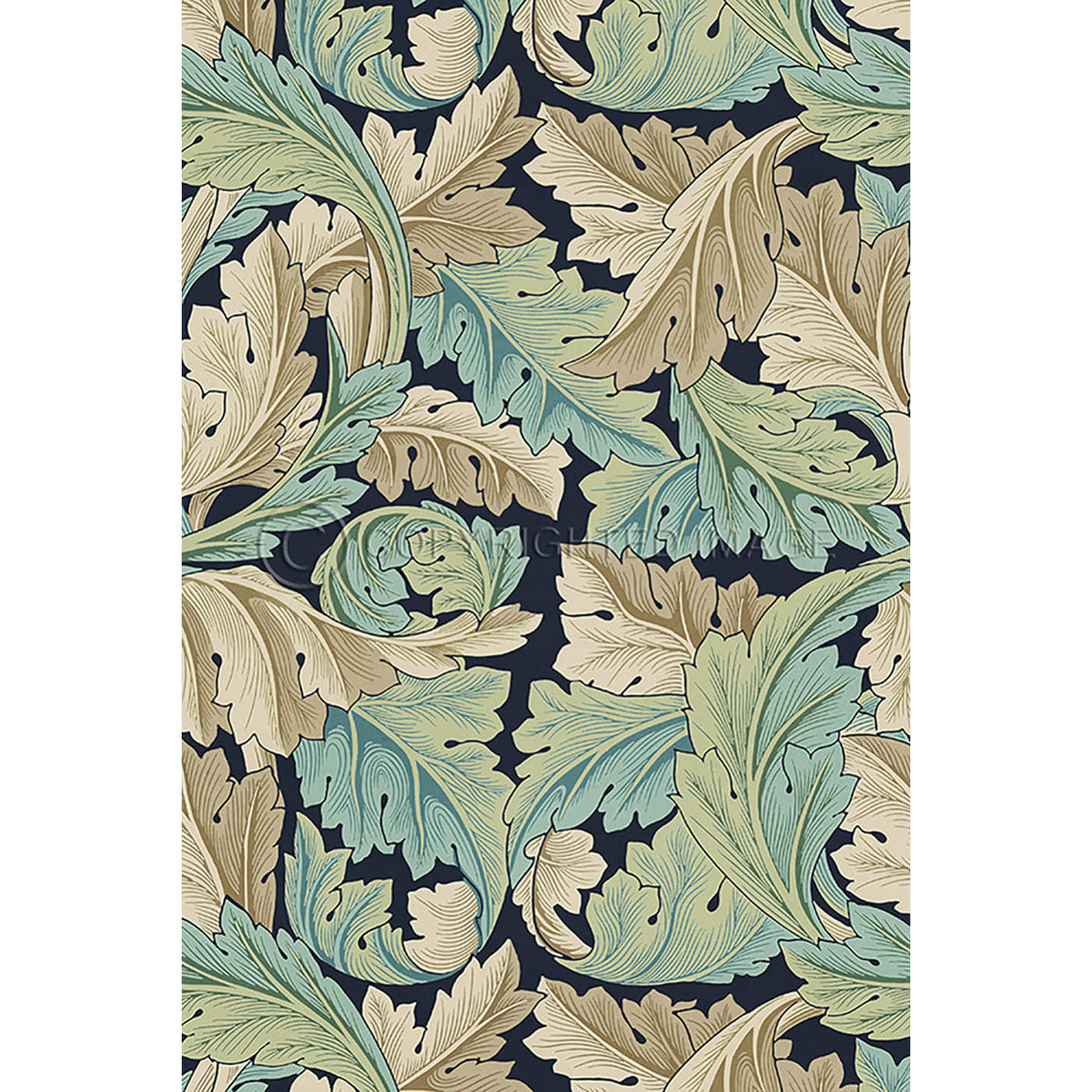 Acanthus Privet 20x30