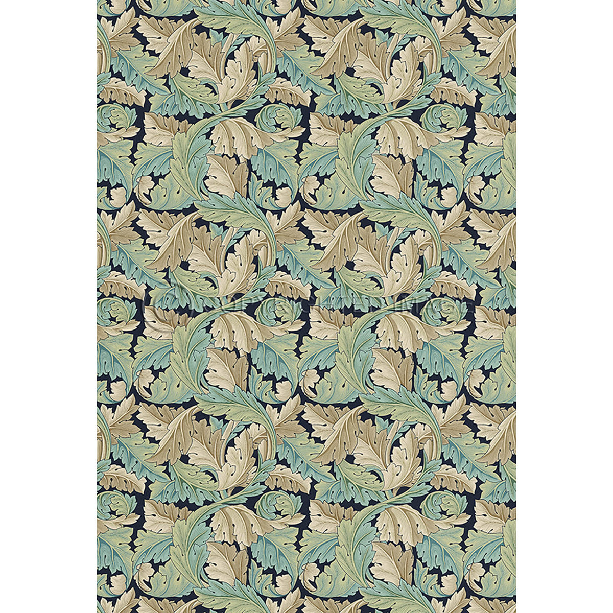 Acanthus Privet 52x76